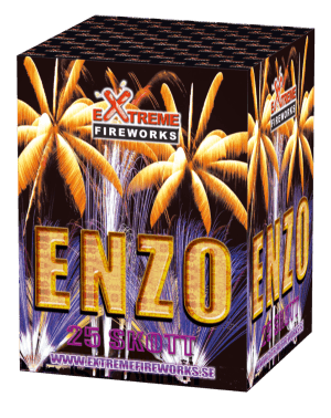 Enzo